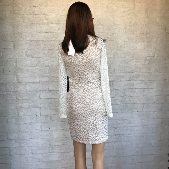 Lovely WYLDR Dress, Ivory with Nude Lining, Lace - Picture 6 of 8